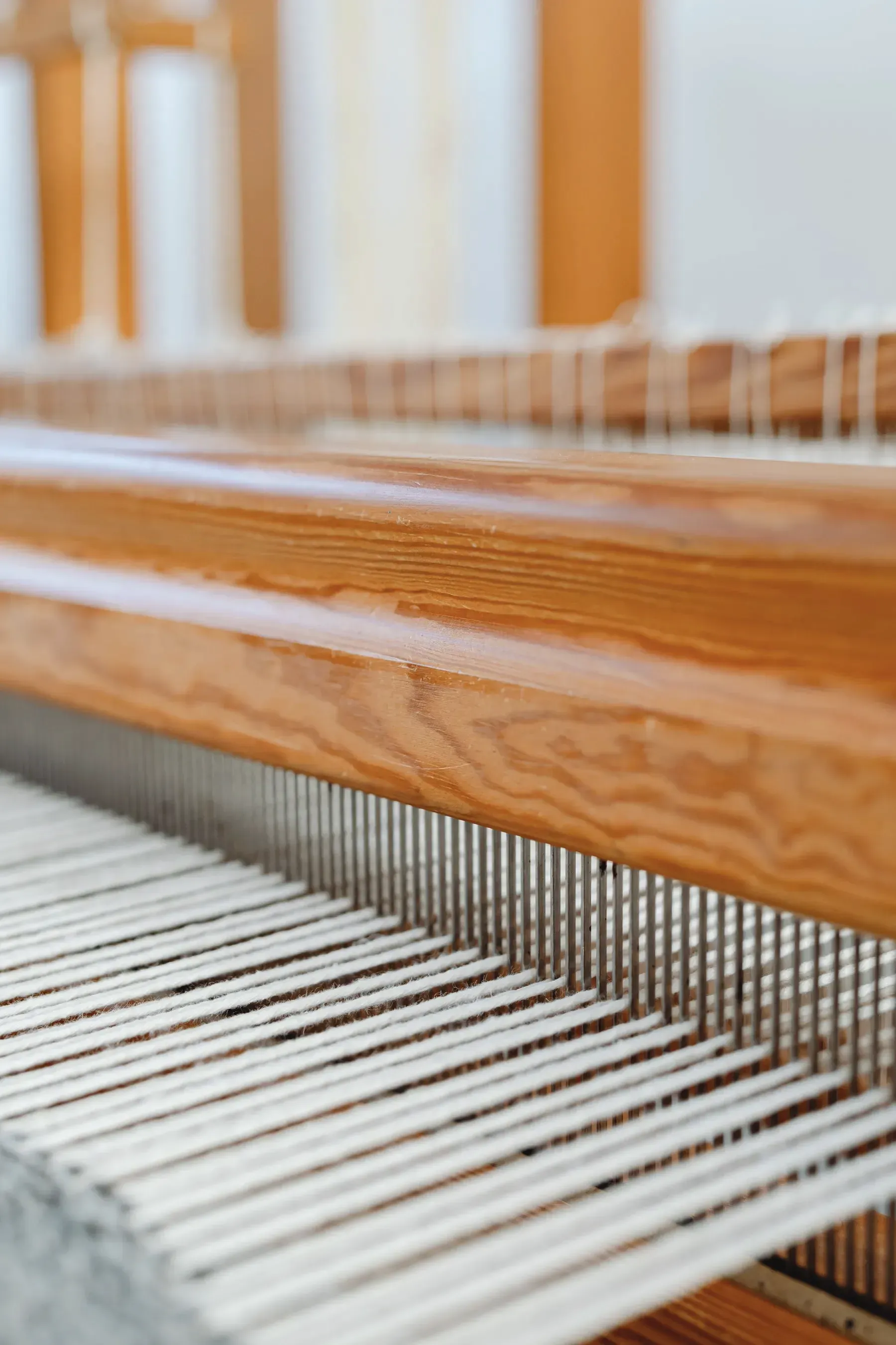 White cotton warp threads stretched across a wooden loom